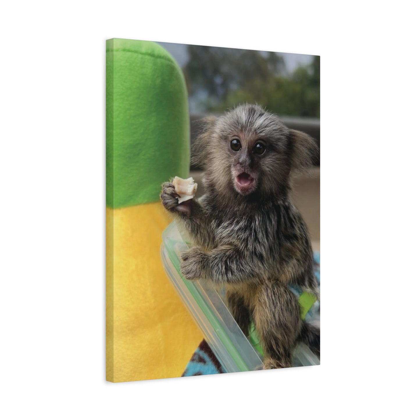 Baby Tiki Moku Canvas