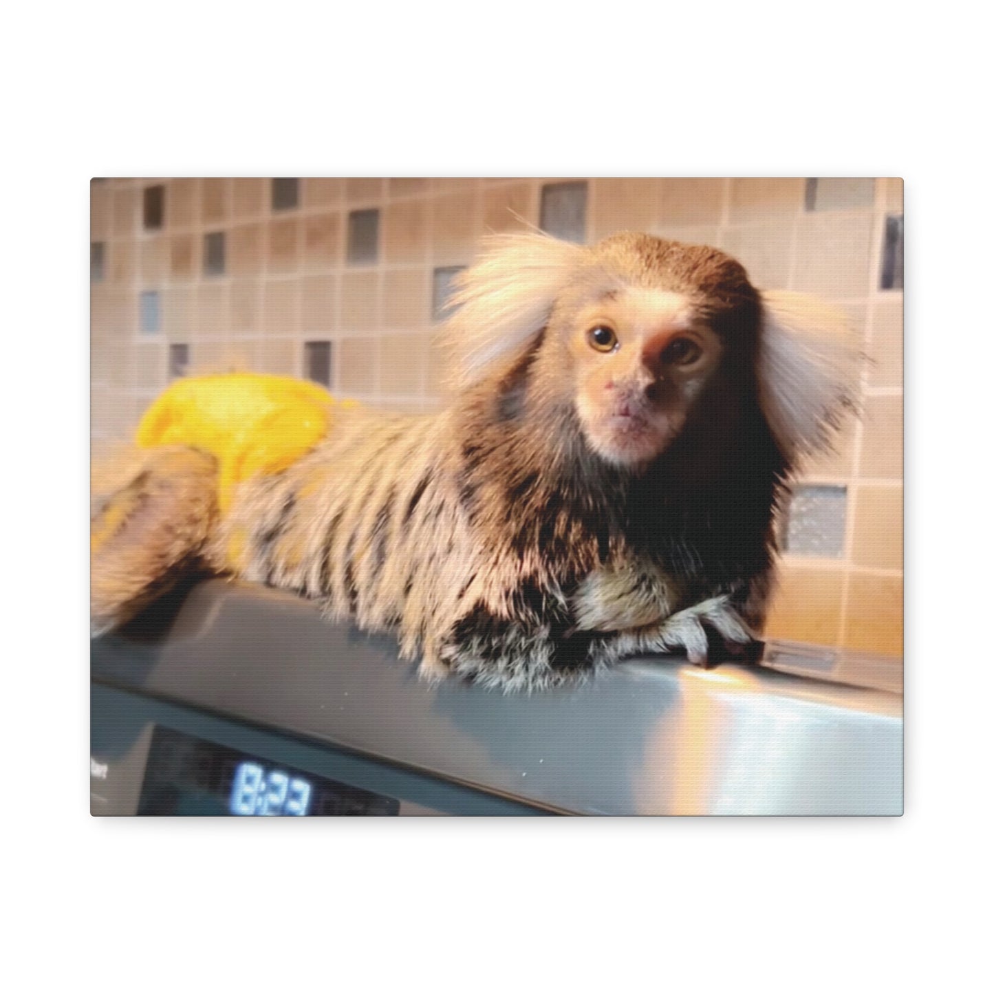 Tiki Centerfold Canvas