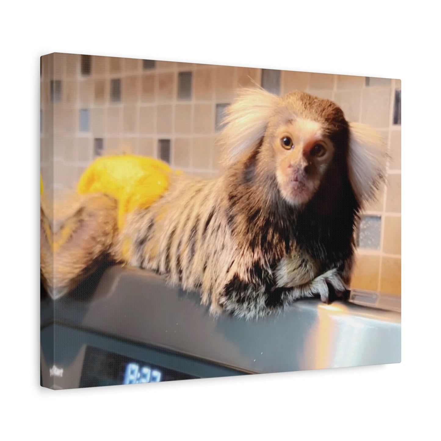 Tiki Centerfold Canvas