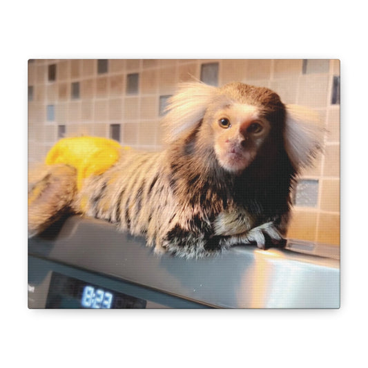 Tiki Centerfold Canvas