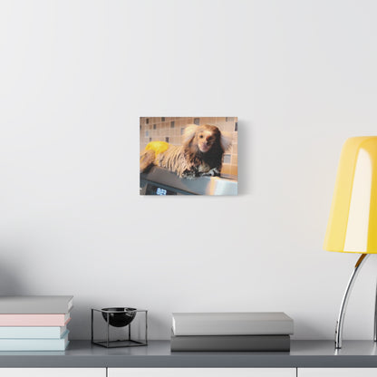 Tiki Centerfold Canvas