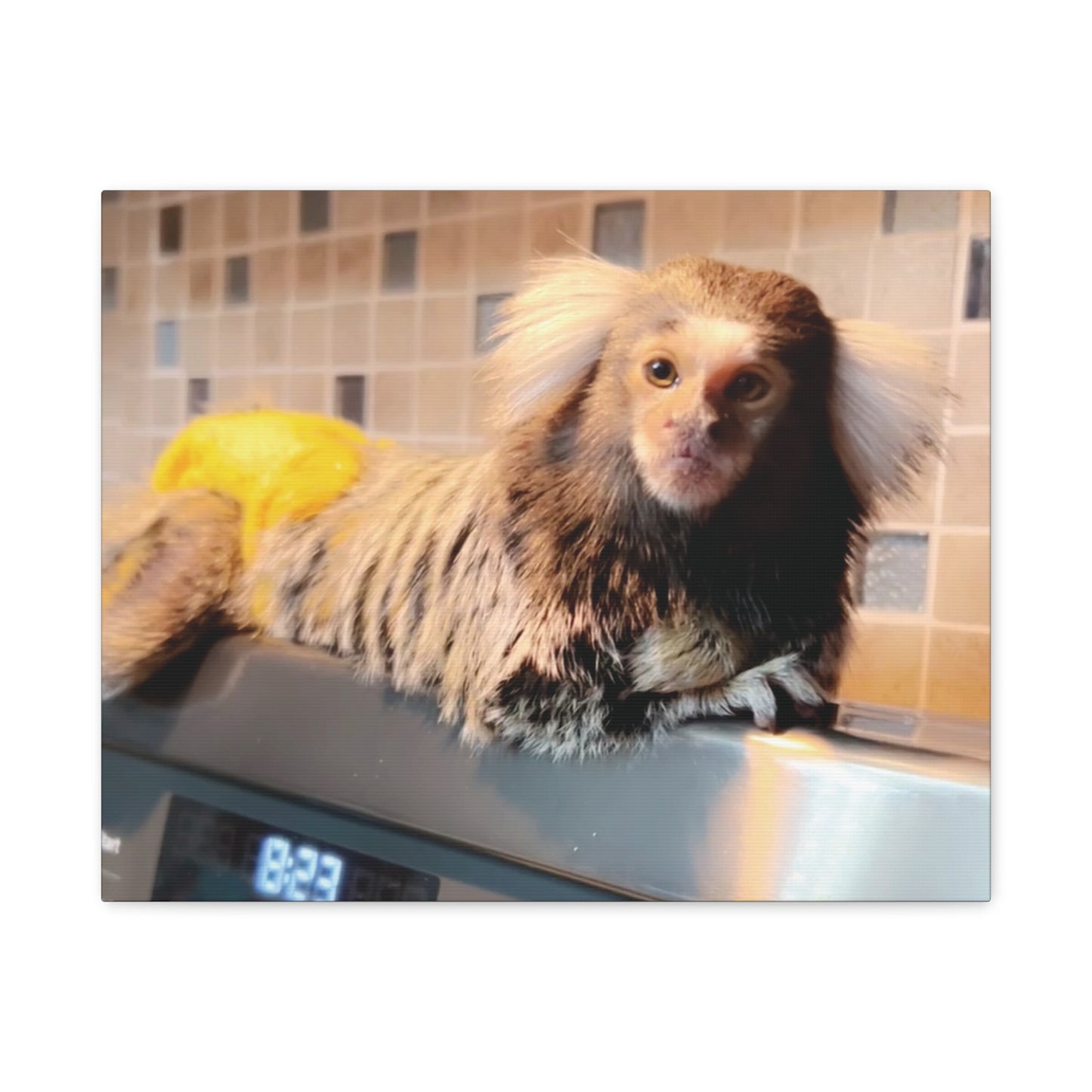 Tiki Centerfold Canvas