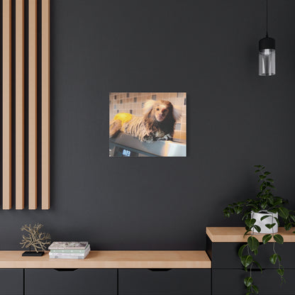 Tiki Centerfold Canvas