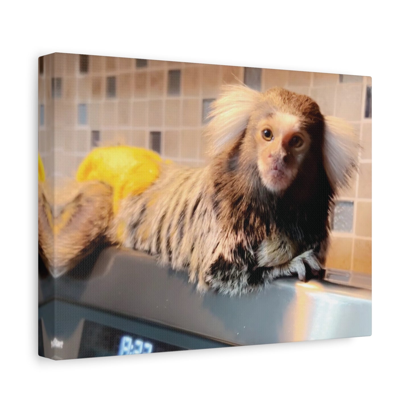 Tiki Centerfold Canvas