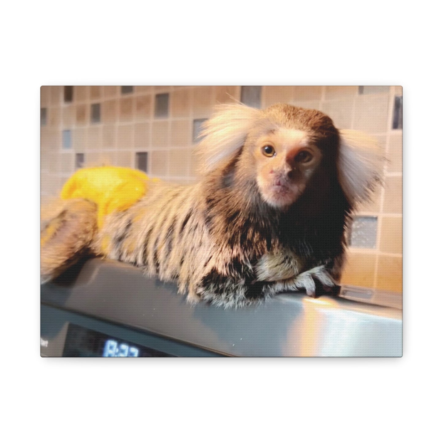 Tiki Centerfold Canvas