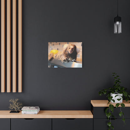 Tiki Centerfold Canvas