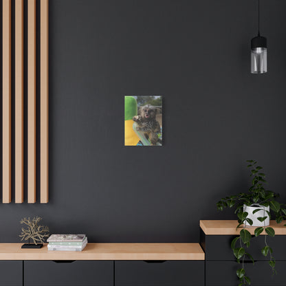 Baby Tiki Moku Canvas