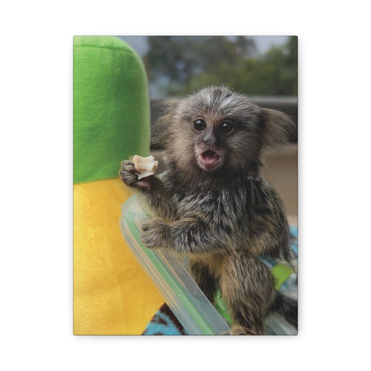 Baby Tiki Moku Canvas