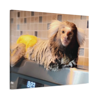 Tiki Centerfold Canvas